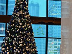 -君悦酒店·乐厨·高空自助餐(青年大街店)