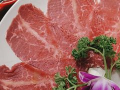 -禄婶鸡煲·打边炉