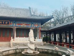 -桃花堤公园