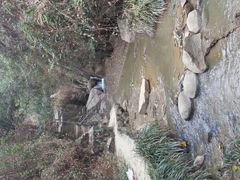 android_upload_pic-洪崖丹井