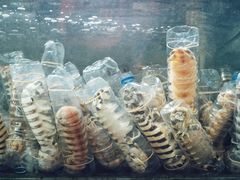 -竹林小屋(库塔店)