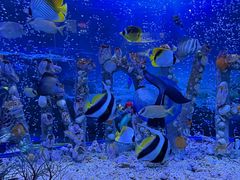 -太平洋海底世界