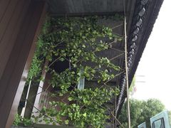 桔子水晶酒店-扬州东关街文昌阁桔子水晶酒店
