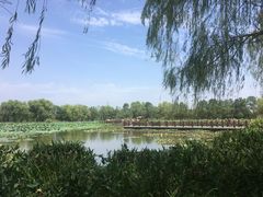 -长兴太湖图影湿地文化园