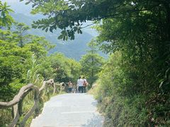 -梧桐山风景名胜区