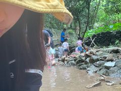 -火炉山森林公园