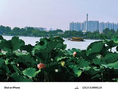 -济南大明湖景区