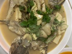 -煲来饱去冷水鱼