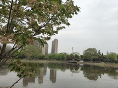 -堤角公园