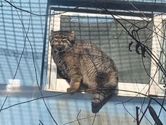 -青藏高原野生动物园