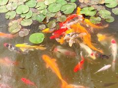 -泰安地下龙宫景区