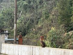 -西岭雪山大飞水景区