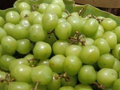 -尚宴牛特鲜自助(太原街万达店)