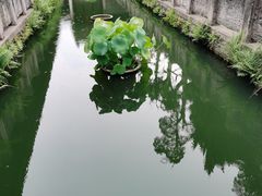 -江南第一家