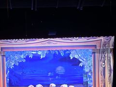 -交通银行前滩31演艺中心