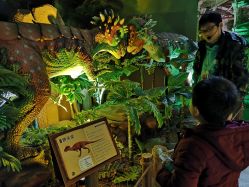 -恐龙探索乐园(磁器口店)