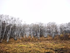 -塞罕坝国家级自然保护区