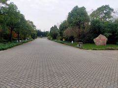 -上海海湾国家森林公园