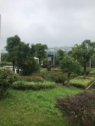 -水八仙生态园
