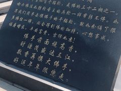 -龙口南山旅游景区