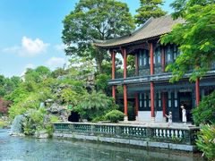 -顺峰山公园