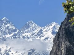 -金鼎雪山牦牛杂火锅(理县总店)