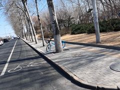 -莲花池公园