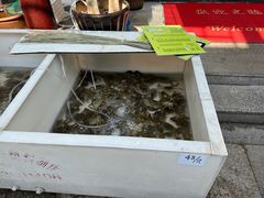 -旺山·浪头人家