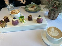 -蝶舍·MAISON PAPILLON