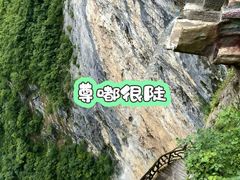 -鹿院坪生态旅游景区