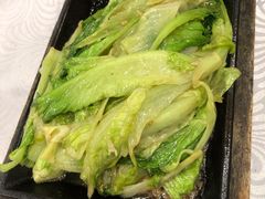 虾酱嘟生菜胆-粤·向群饭店(龙津东路总店)