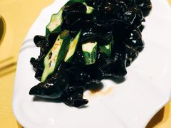 -素虎小呆鸟(西二旗店)
