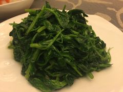 清炒豌豆尖-贵州大厦贵州厅(樱花园西街店)