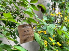 -创艺无限·赵春香微妙艺术馆