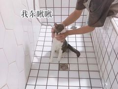 -有它宠物(顺义双兴店)