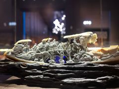 -湖南省地质博物馆