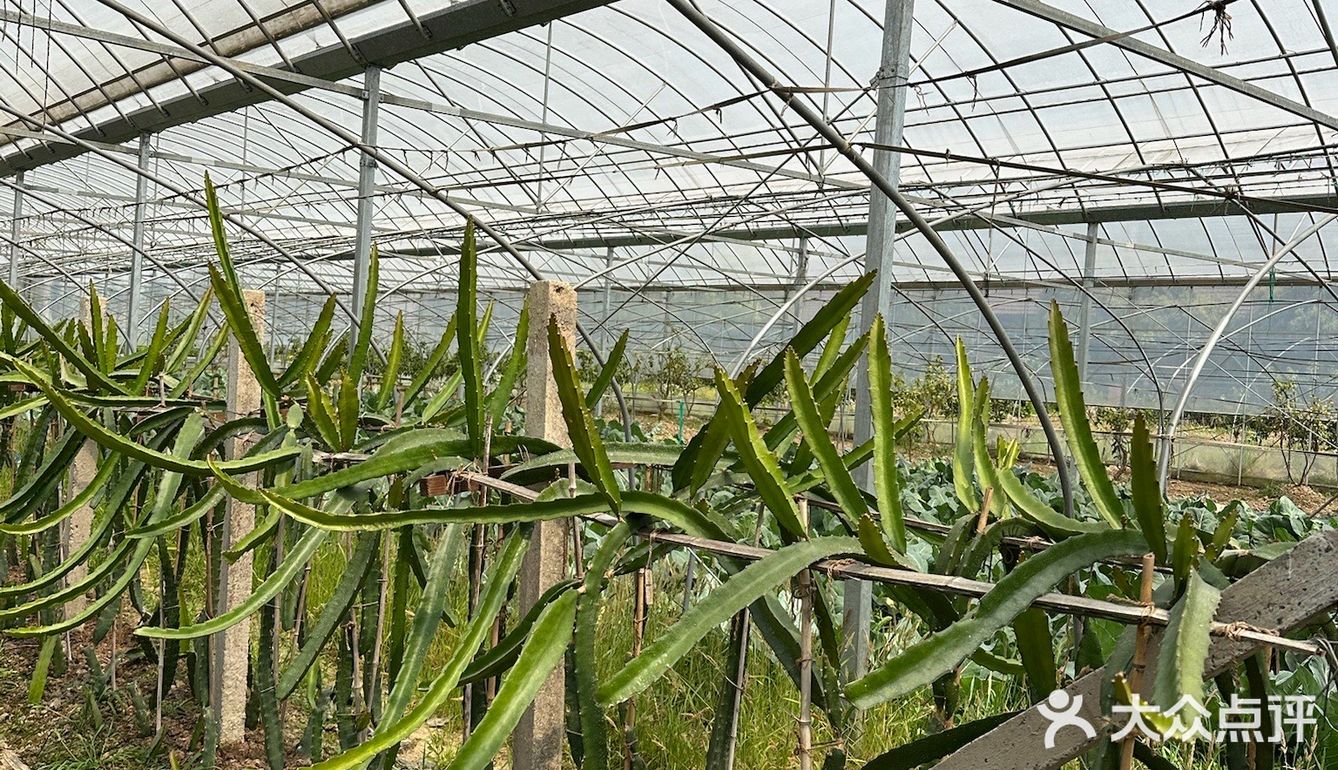 不愧是藏在山里的团建好去处啊[OK]