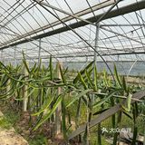 不愧是藏在山里的团建好去处啊[OK]