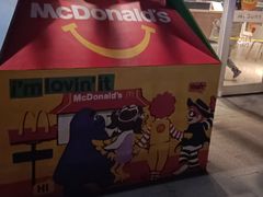 -麦当劳(塔园路店)