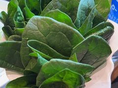 -南门四季铜锅涮肉(大屯·北苑店)