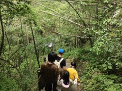 -宁波五龙潭景区