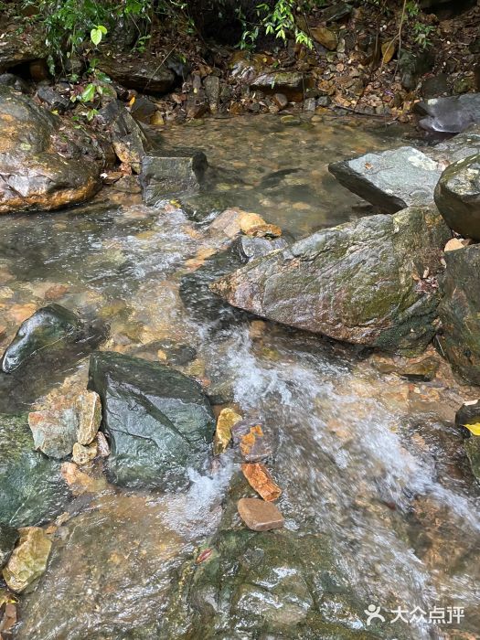 鼎湖山风景区图片