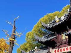 -西园寺素食(西园弄戒幢律寺店)