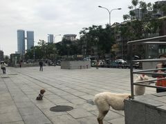 -凯德广场(金牛店)