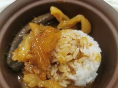 -食神鱼头佛跳墙(百子湾旗舰店)