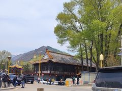 -一盏明灯全素斋(殊像寺店)