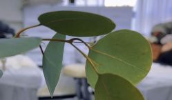 -韩美绣·骨相纹眉·洗眉美瞳线