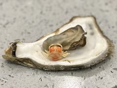 -仙螺岛海鲜自助餐厅(总店)