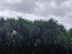 -深圳湾公园(南山区)