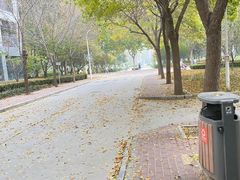 -河南财经政法大学(郑东校区)